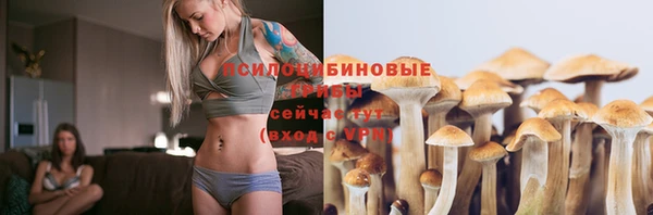 шишки Нефтегорск