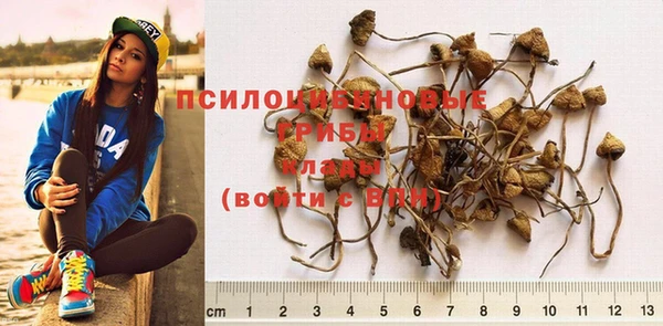 MESCALINE Нея
