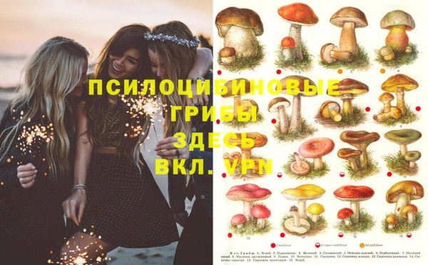 MESCALINE Нефтекумск